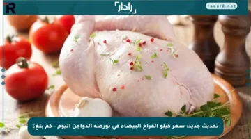 تحديث جديد: سعر كيلو الفراخ البيضاء في بورصة الدواجن اليوم – كم بلغ؟